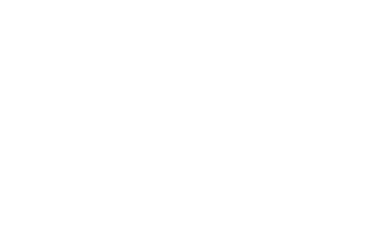 North America Icon_Why Metro