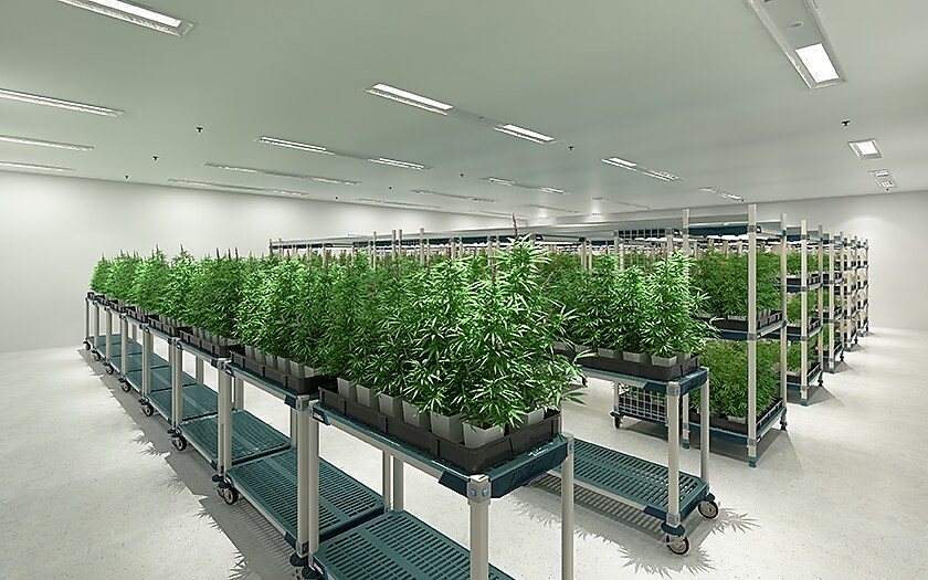 Veg Room_HiRes