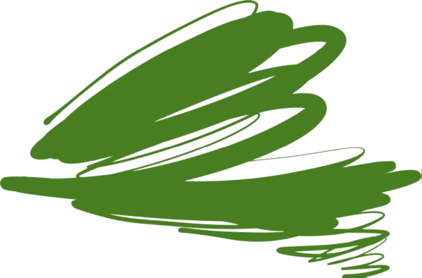 junior-club-green-background1