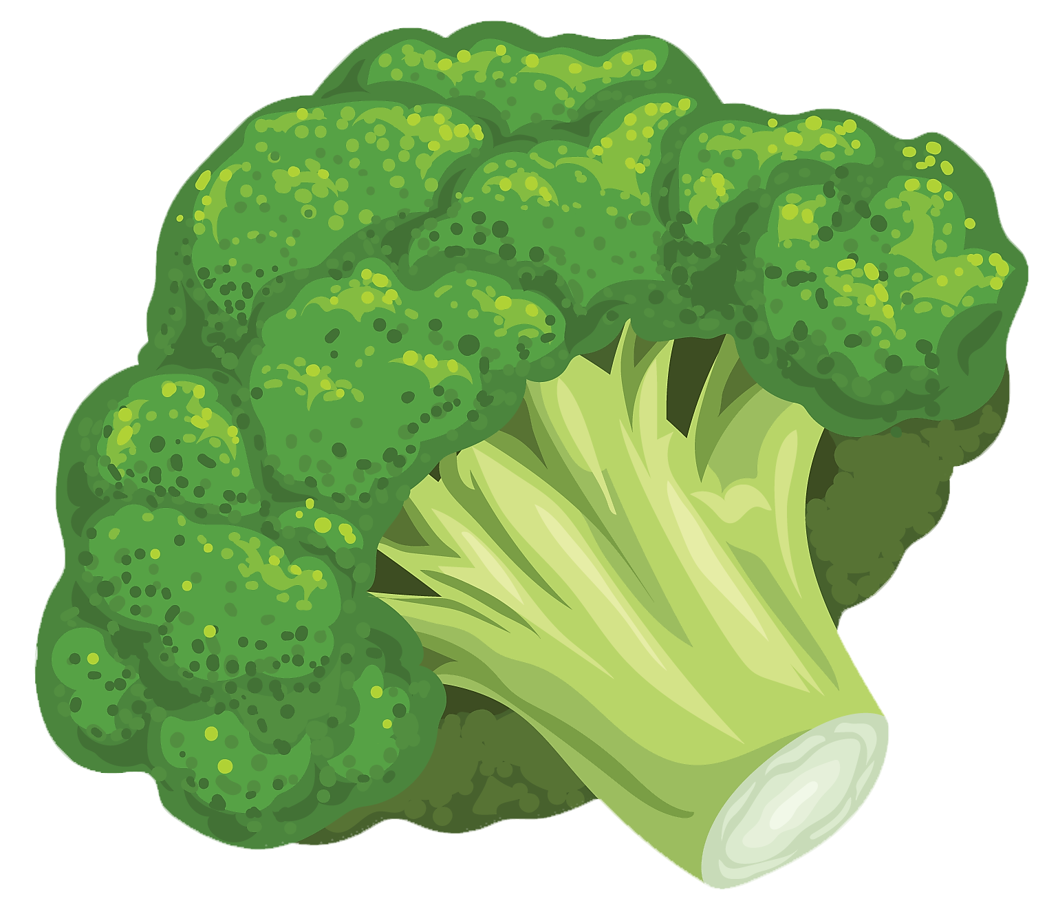 broccoli-01