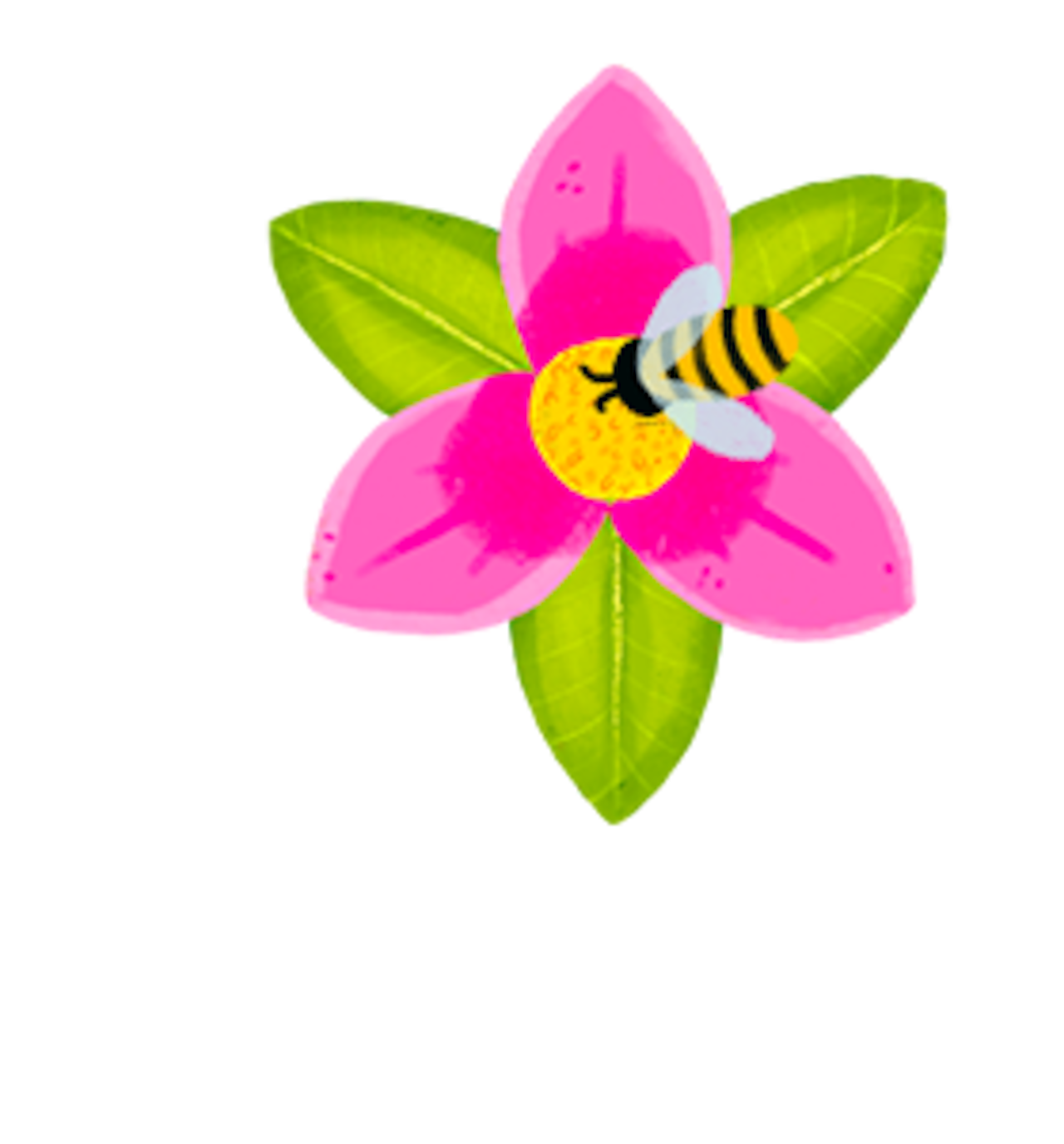jc-bee-img-new