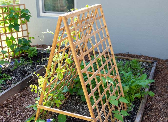 Best Easy DIY Trellis Ideas for a Super Productive Garden - A Piece Of  Rainbow