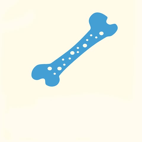 bonehealth