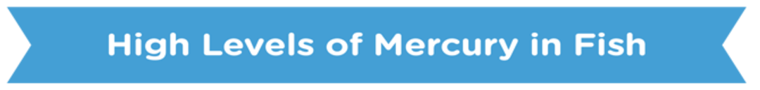 MercuryFish