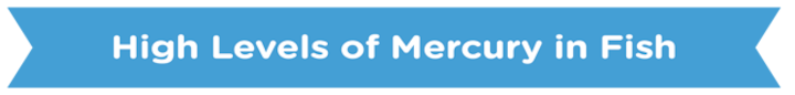 MercuryFish
