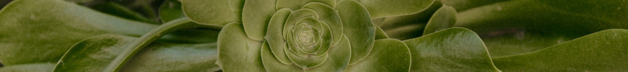 042223-sustainability-desktop-06