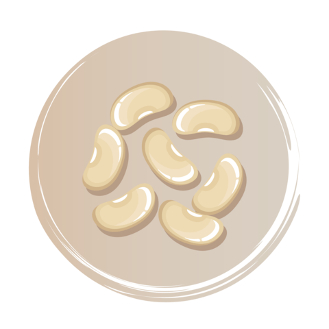 White Kidney Bean Icon