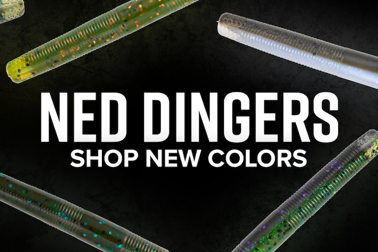 YUM Expands Ned Dinger Color Selection
