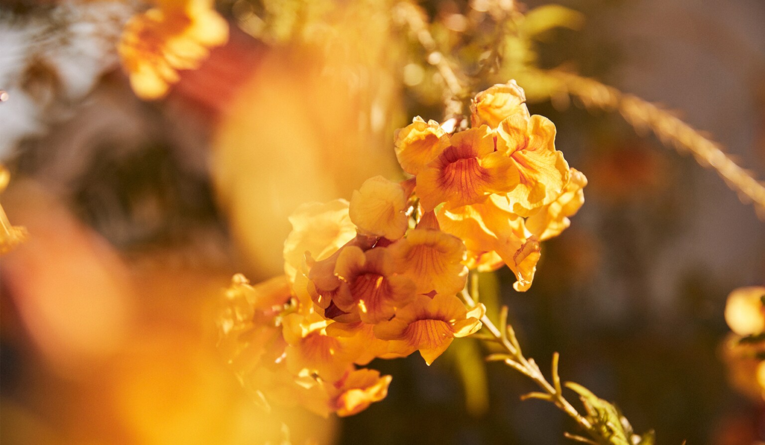 KS23-FRAGRANCE-DAY1-0162_d