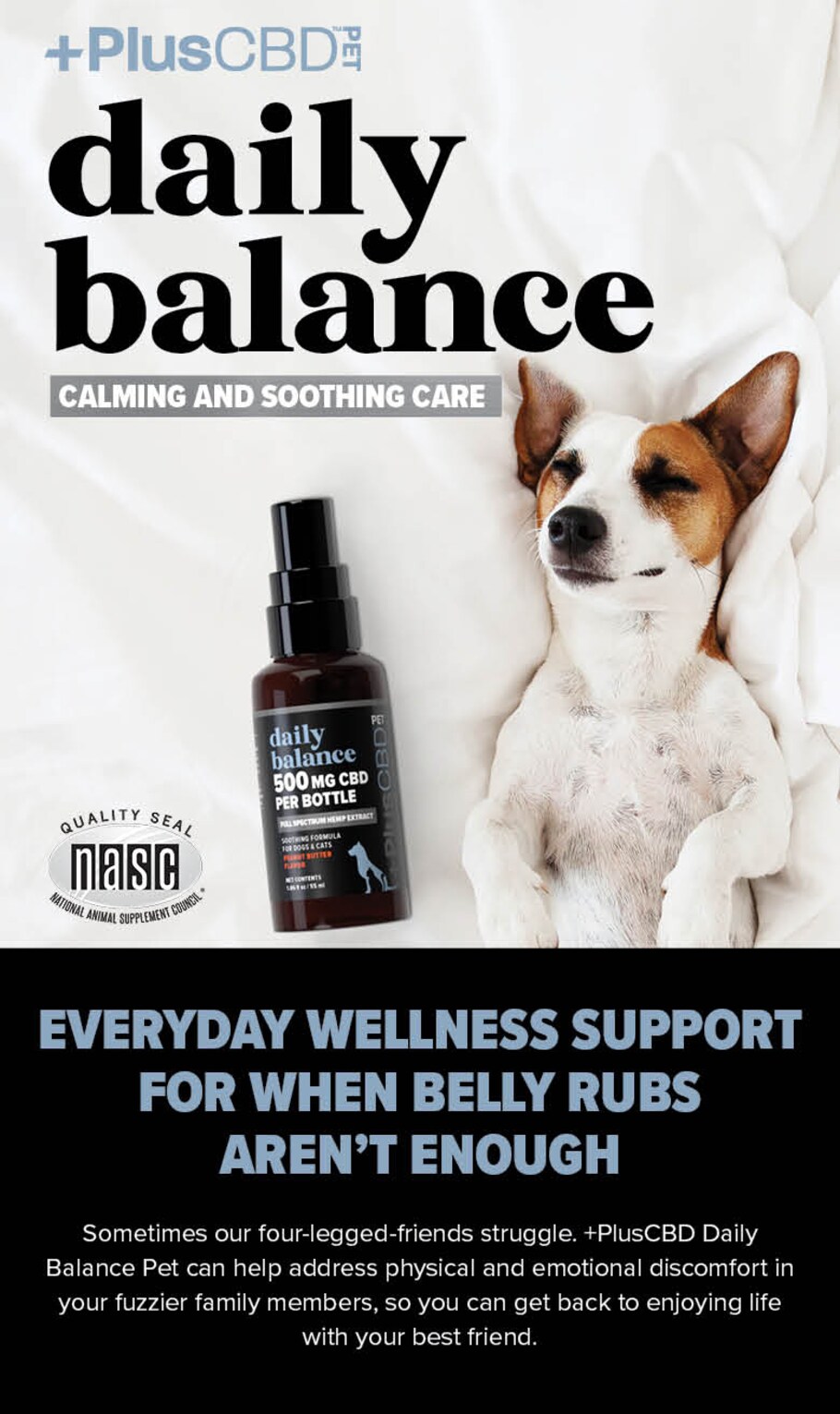 Best calming cbd outlet oil for dogs