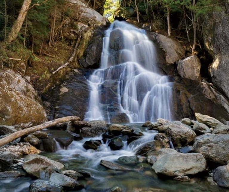 sustianability-water-conservation